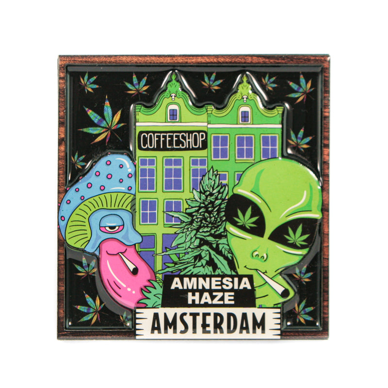 AMSTERDAM Metal Fridge Magnets MGEP62 x 1