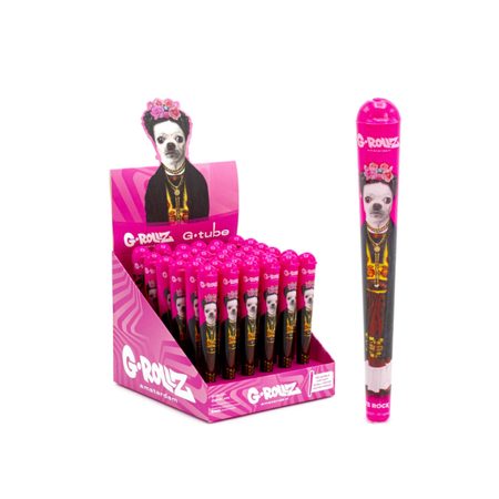 G-Tube | Mexico - Cone Holders 36pcs