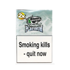 PLATINUM BLUNTS Silver (Berries) 2S X 25